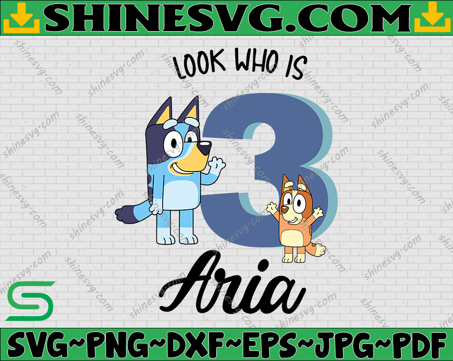 Custom Name Bluey, Personalized Name and Age Bluey Birthday Party Svg ...